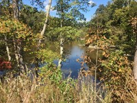 Michie Lake (Flat River) - "Our" Peter's Mill Pond