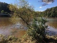 Michie Lake (Flat River) - view from Wilkin's Rec Ctr