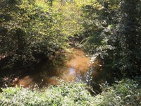 Dial Creek - view looking south from Hampton Rd