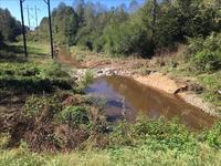 King Creek - view from King View Rd looking north