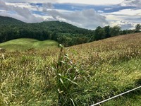 #4 Farm Site of Abraham Ratcliff, Moravian Falls, North Carolina