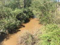 Little River - view from Little River Road looking north