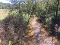 Little River - view from Little River Rd looking south